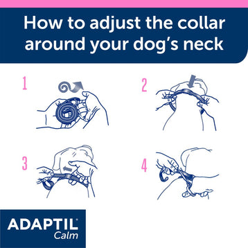 How to Adjust the Collar 