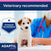 Puppy wearing collar. 