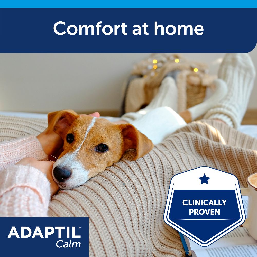 ADAPTIL Calm Starter Kit | Dog Calming Plug-In Diffuser