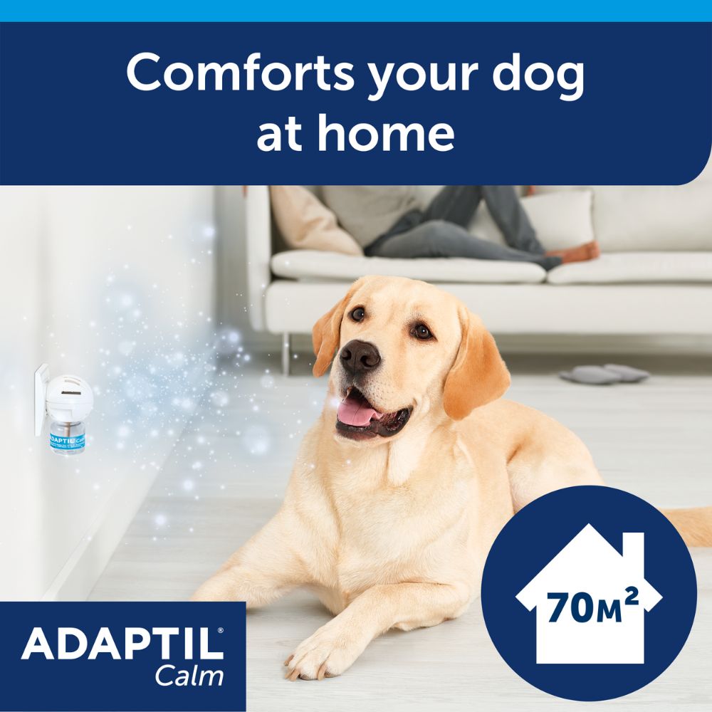 Diffuser Adaptil Plugged In ADAPTIL Calm Refill | Plug-In Diffuser Refill for Dogs