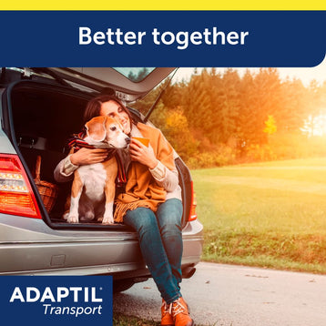 Dog in car with Owner 