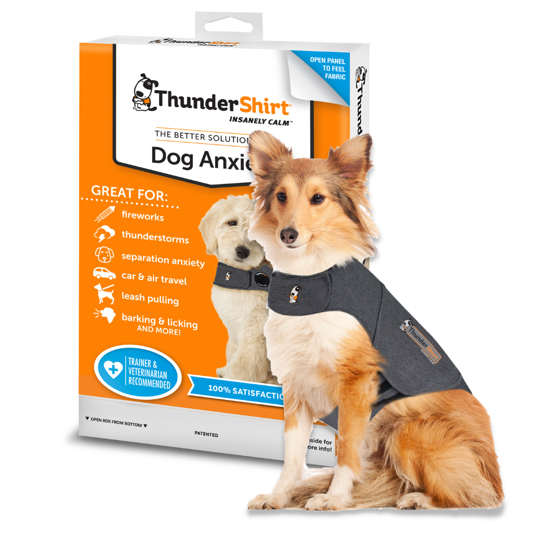 Lightning jacket top for dogs