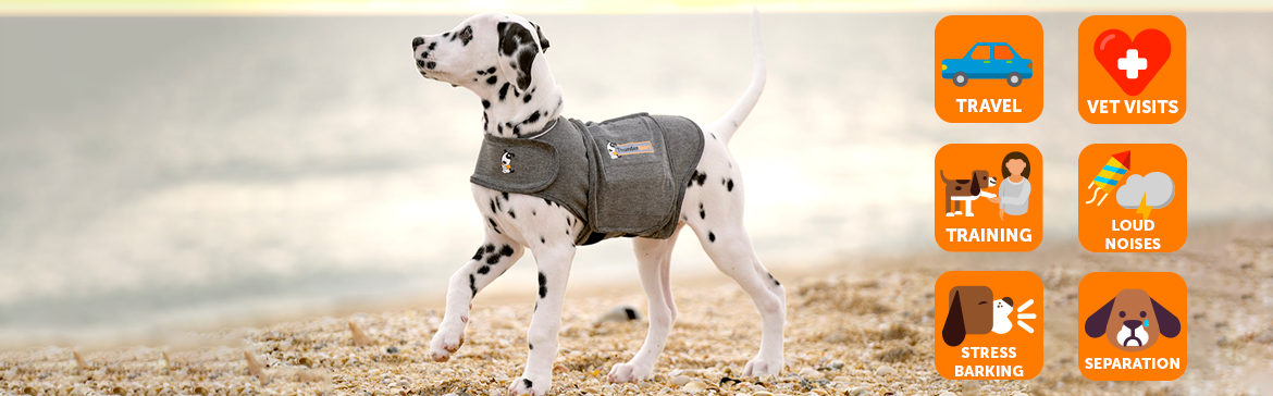 ThunderShirt | Anxiety Jacket for Dogs | ADAPTIL