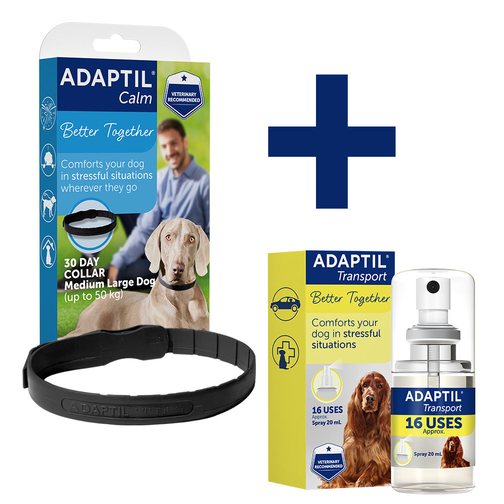 Travel Routine Medium/Large Dog