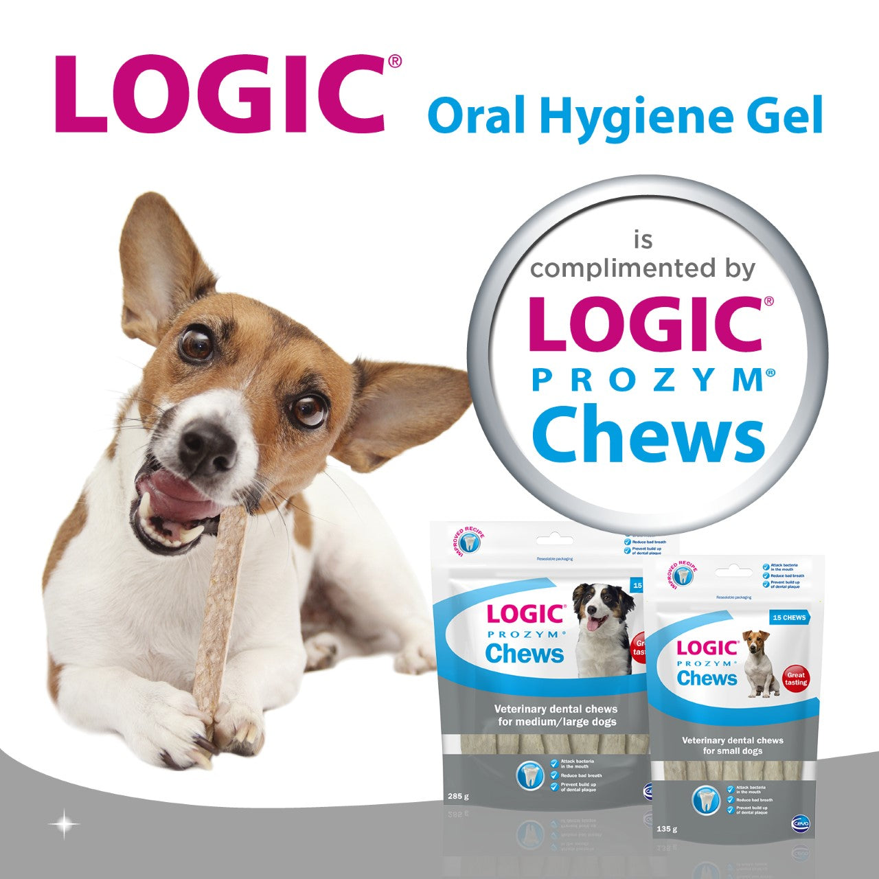 LOGIC Oral Hygiene Gel Toothpaste