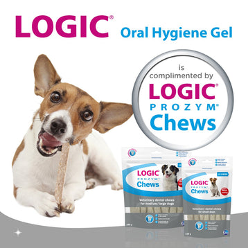 LOGIC Oral Hygiene Gel Toothpaste