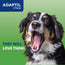 Dog Eating Adaptil Chews 