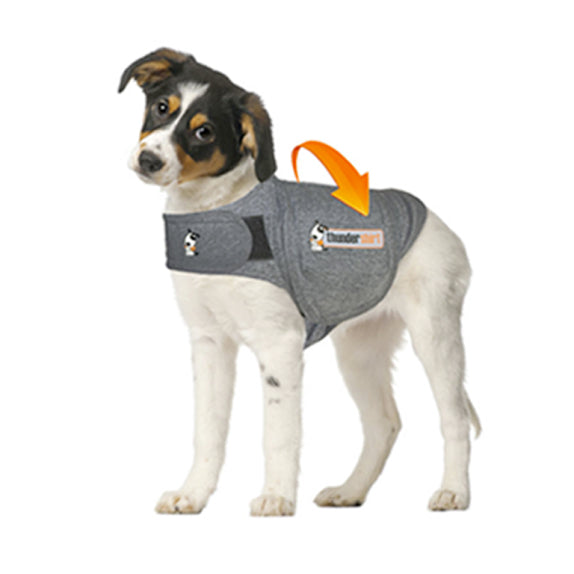 How ThunderShirt Works | Anxiety Jackets For Dogs Explained