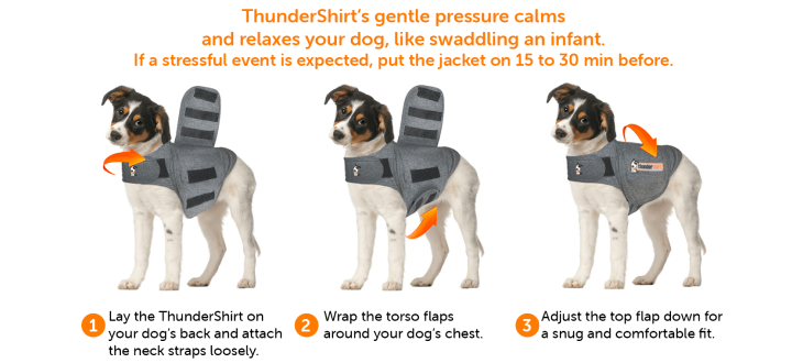 ThunderBelt - Car Restraint Harness for Dogs – ThunderShirt