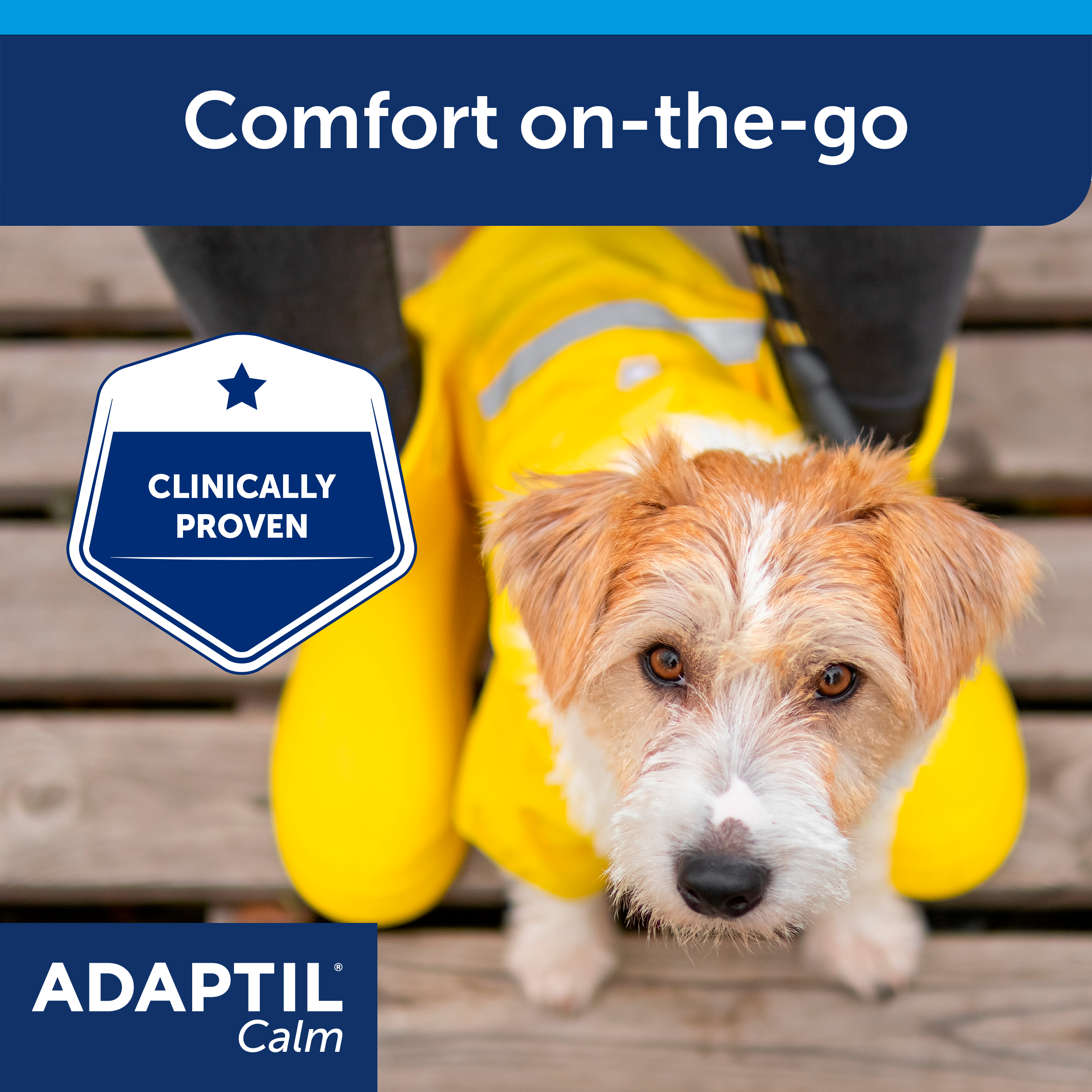 Adaptil comfort zone sales collar