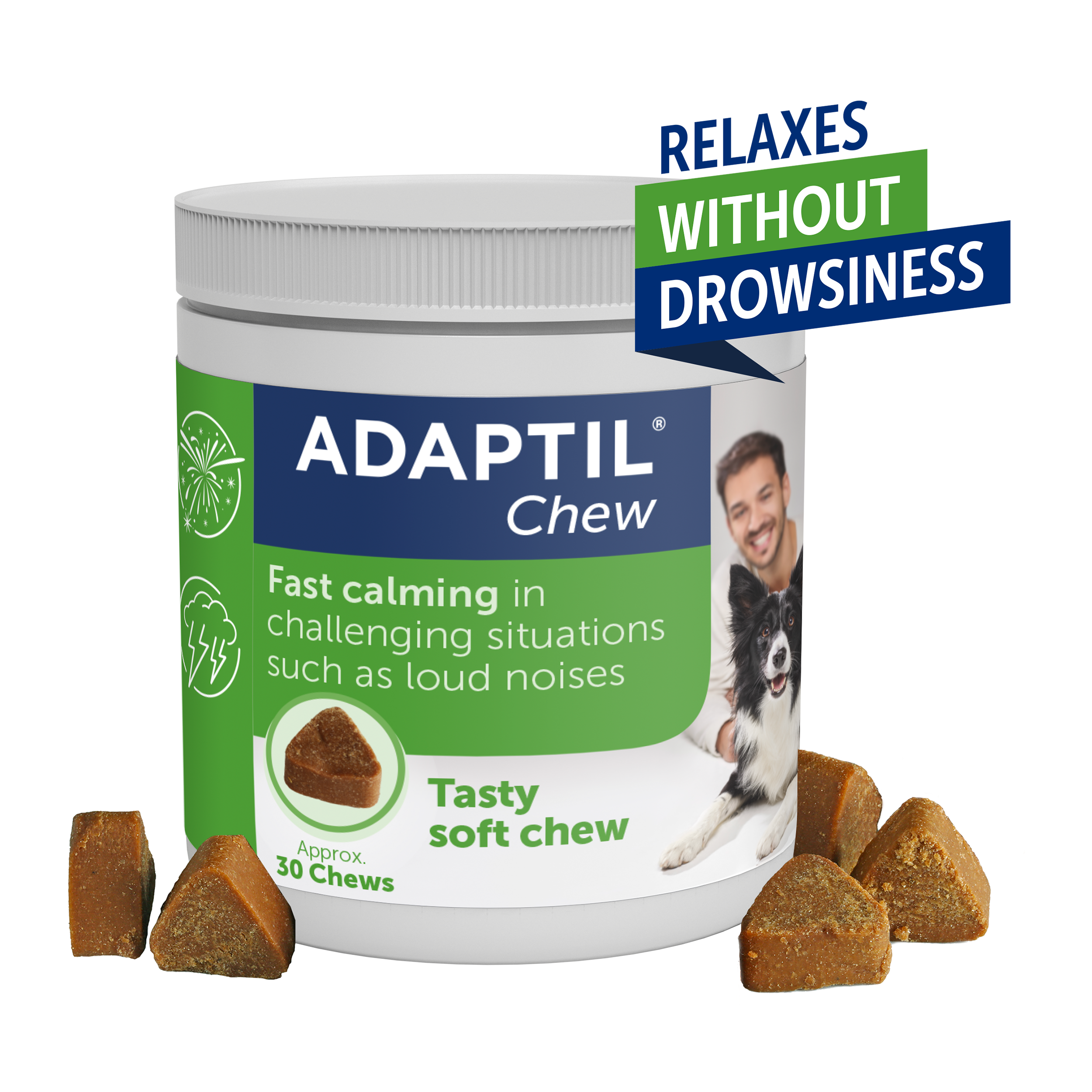 When Can I Start Leaving My Dog Home Alone? – ADAPTIL UK