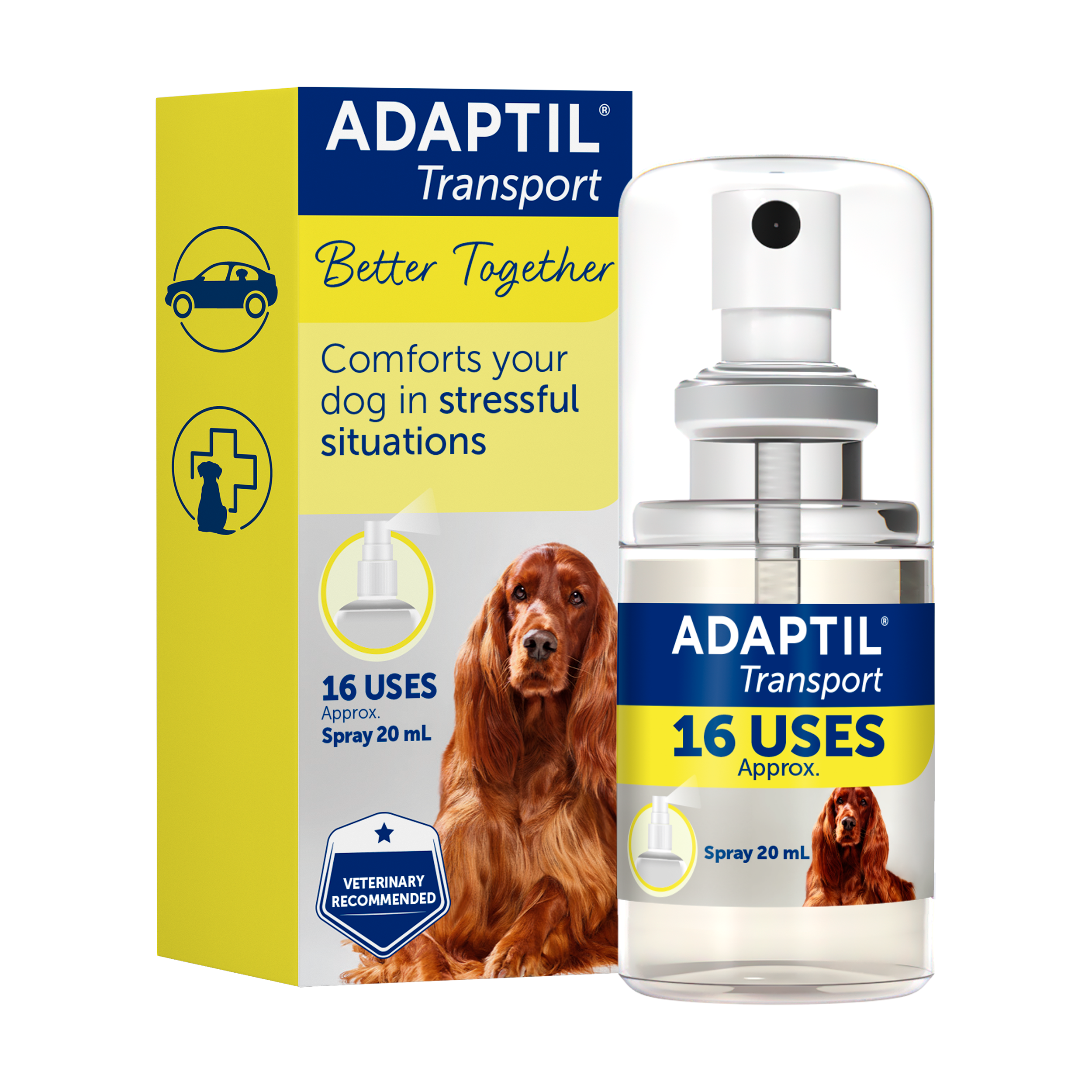 ADAPTIL Transport