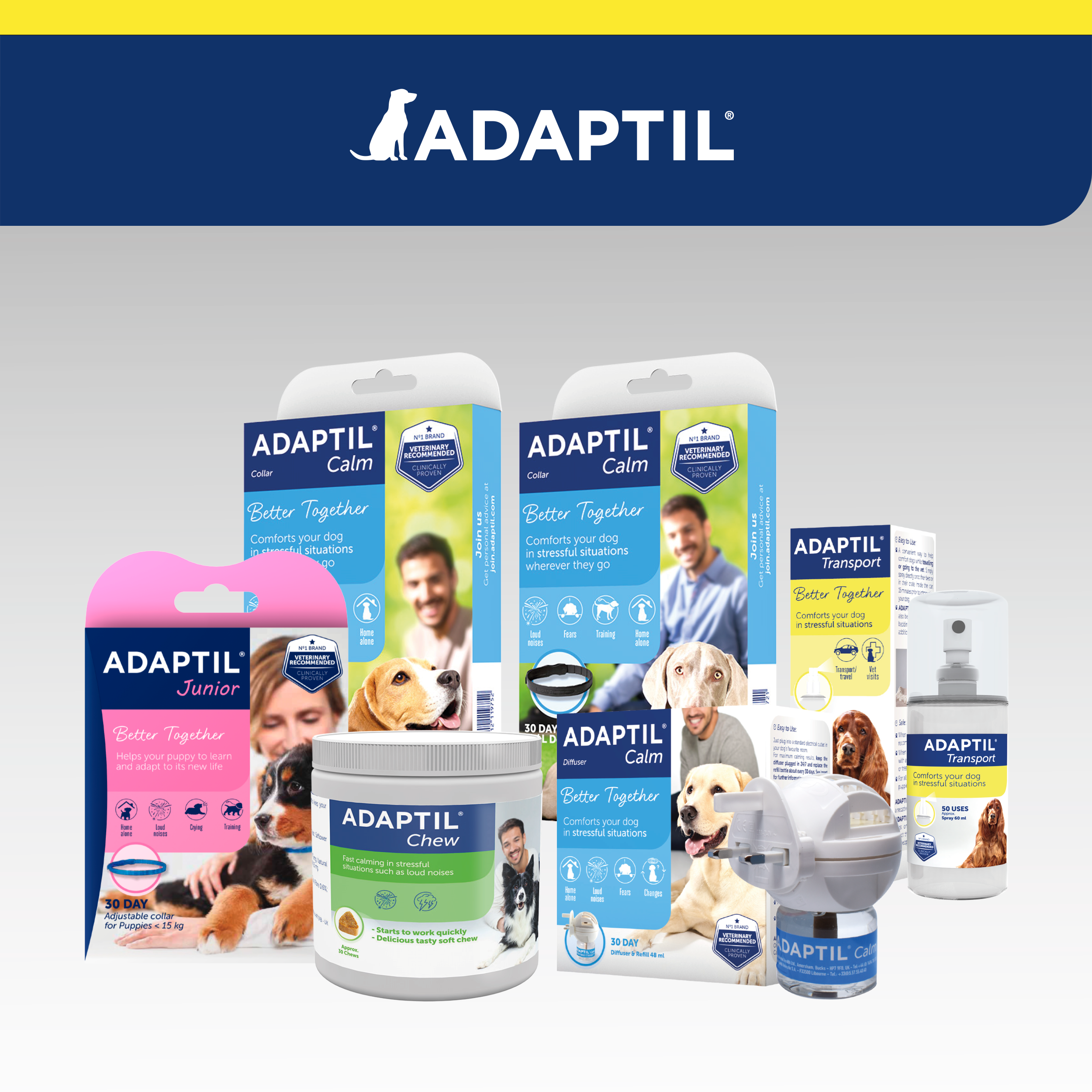 ADAPTIL Transport