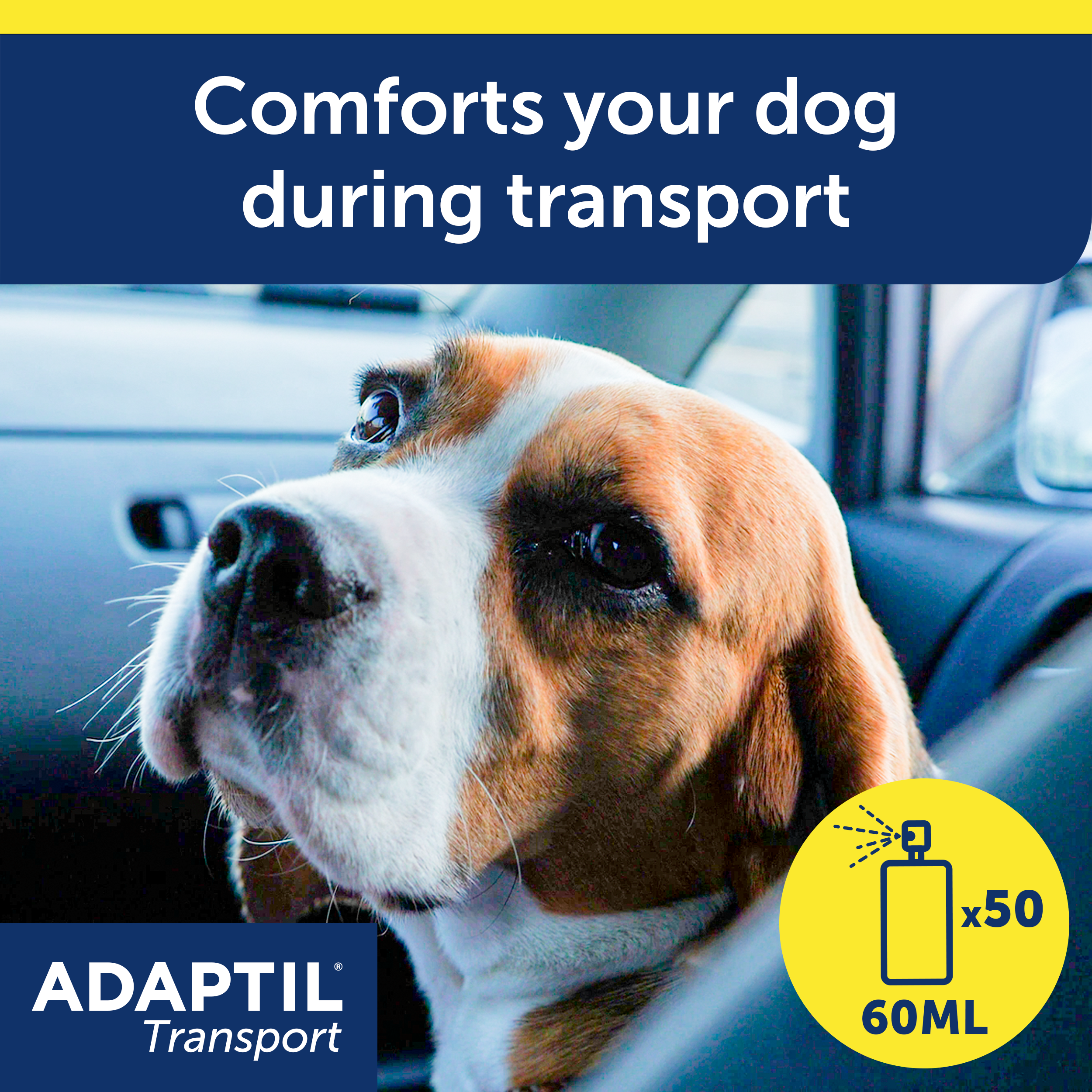 ADAPTIL Transport